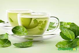 uống trà xanh có giảm mỡ bụng nhanh không